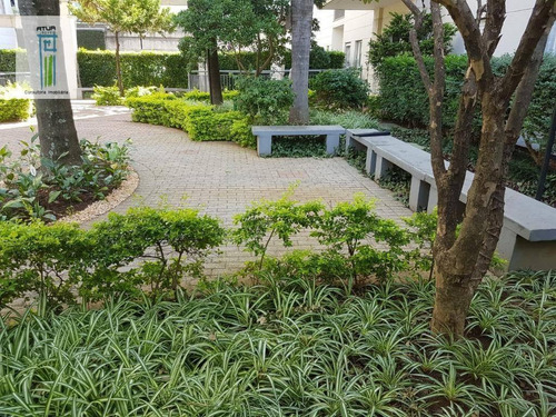 Imagem 10 de 30 de Apartamento Com 2 Dormitórios À Venda, 50 M² Por R$ 277.000,00 - Lauzane Paulista - São Paulo/sp - Ap1526