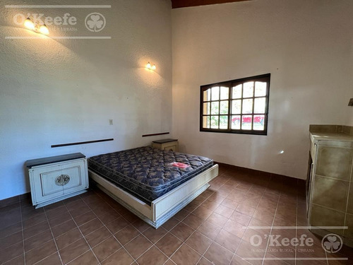Imagen 7 de 26 de 100 Has En Punta Indio - Excelente Acceso - Ideal Haras!