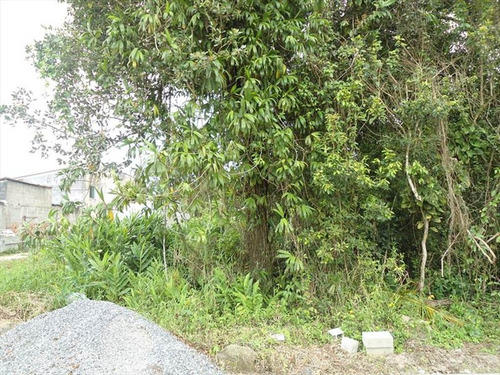 Imagem 1 de 6 de Terreno - Venda - Verde Mar - Itanhaem - Ita2613