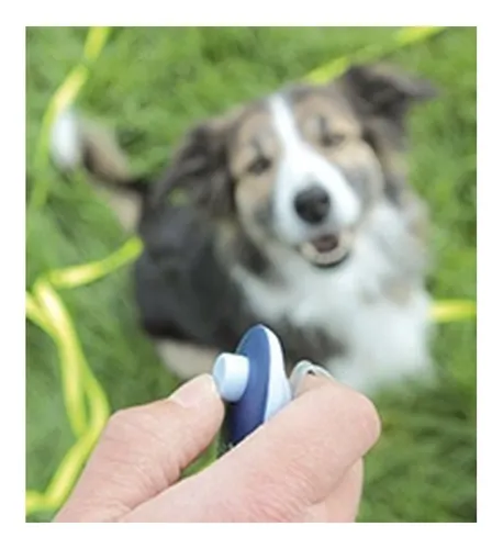 Clicker Mascotas Sonido Click Suave Adiestramiento Brazalete