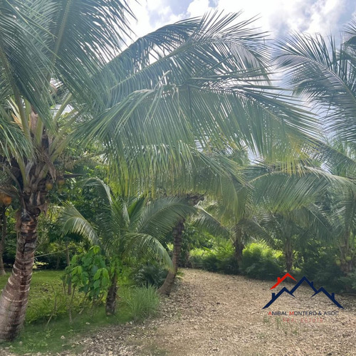 Vendo Finca Con Casa En Benerito Anmont