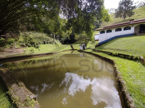 Imagem 6 de 30 de Imóvel Fazenda Juquitiba Sp; Fazenda À Venda Em Juquitiba; - 249 - 32982508