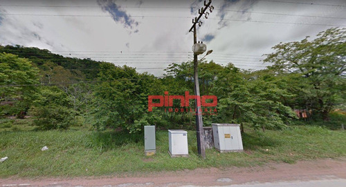 Imagem 3 de 4 de Terreno À Venda, Área De 43.218,00m² Por R$ 617.630,00 - Santa Luzia - Jaraguá Do Sul/sc - Te0066