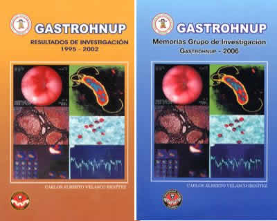 Gastrohnup Resultados De Investigación 19952002 Memorias Gru