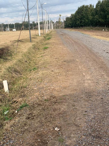Imagen 7 de 30 de Lote En Venta En Gorina | 501y161 | Senderos (abierto) Mza.b-lote 10 (300 Mts)