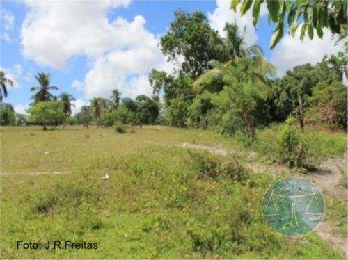 Imagem 7 de 9 de 3.8 Hectares Em Zona Urbana De Parnamirim - V-7555