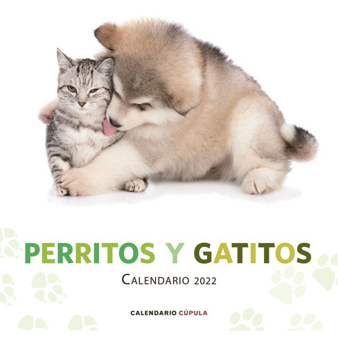 Calendario Perritos Y Gatitos 2022 - Aa. Vv. - * 