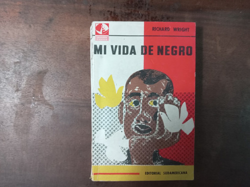 Libro Mi Vida De Negro