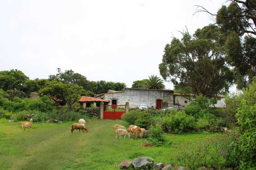 Imagen 2 de 14 de Rancho Ganadero En Venta En Nopala Hidalgo.