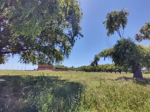 Gran Loteo En San Bernardo, Sobre Colectora!
