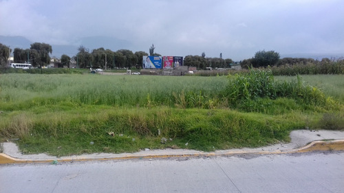 Vendo 9,694 Metros Cuadrados Con Servicios Km.16 Carretera Toluca Hacia Tenango Del Valle Estado De México, País México.