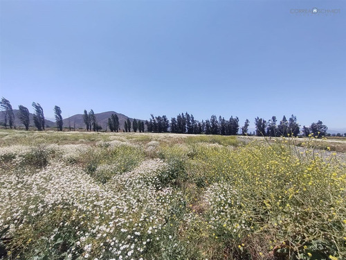 Sitio En Venta Chancón, Rancagua