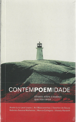 Livro Contempoemidade: Olhares Sobre O Espaço Que Nos Cerca - André Luiz Lacé Lopes, Ari Mascarenhas