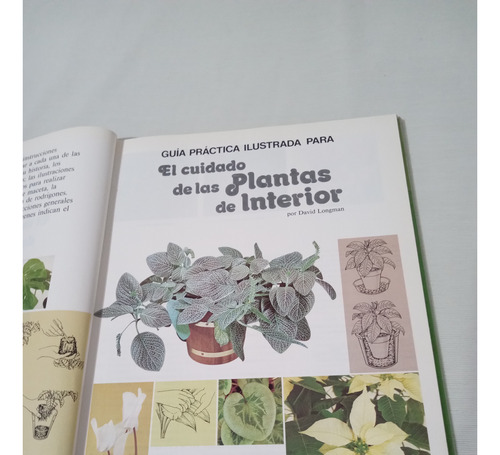 El Cuidado De Las Plantas De Interior Bibliotec Blume Jardin