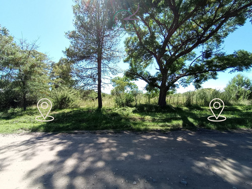Se Vende Lote En Cordoba