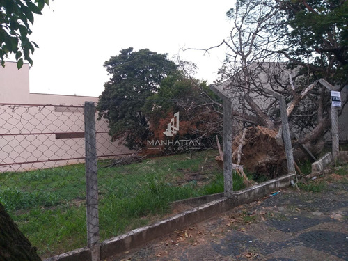 Imagem 5 de 6 de Terreno À Venda Em Vila Breda - Te006030