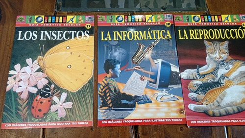 Guia Tematica Escolar Genios Son 20 Fasciculos Mas Caja (Usado)