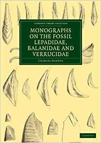 Monographs On The Fossil Lepadidae, Balanidae And Verrucidae