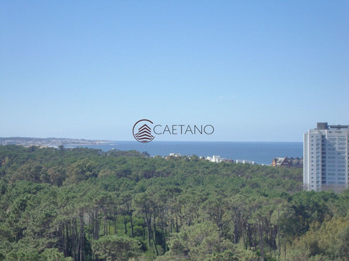 Imagen 5 de 30 de Torre Con Todos Los Servicios En Zona De Roosevelt - Punta Del Este Roosevelt