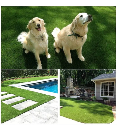 Pasto Sintético Decorapisos Para Mascotas 10mm Rollo