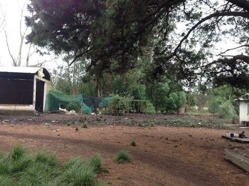 Imagen 3 de 13 de Fraccion De Campo En Venta Mar Del Plata