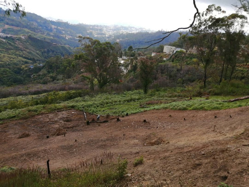 Imagen 5 de 6 de Terrenos En Venta Terreno En Club De Campo San Antonio