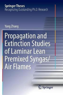 Libro Propagation And Extinction Studies Of Laminar Lean ...