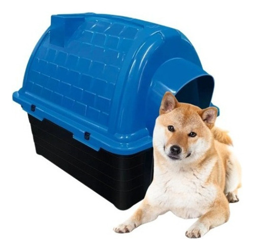 Casinha Pet Raças Médias E Grandes N5 Iglu Para Cachorro Cor Azul Desenho IGLU-N5