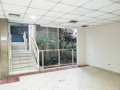 Imagem 5 de 30 de Comercial-são Paulo-santo Amaro | Ref.: Reo392354 - Reo392354