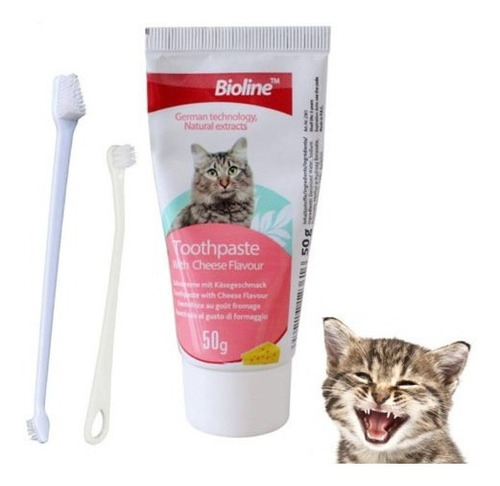 Set Kit Cepillo Dientes Encías Lengua, Pasta Dental Gatos