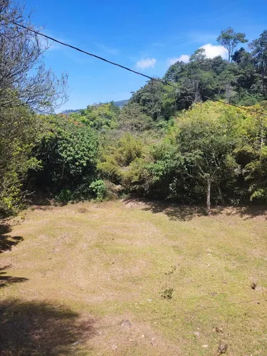 Finca En Venta En Amagá Vereda La Delgadita. Cod V10793