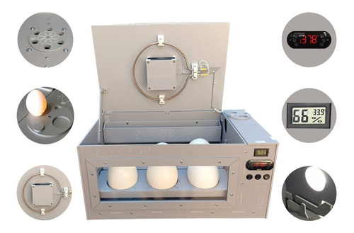Chocadeira Automática Para 6 Ovos Avestruz Ema - Chocafast 220v