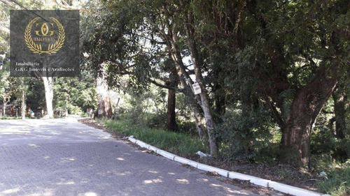 Imagem 1 de 3 de Terreno À Venda, 4000 M² Por R$ 1.590.000,00 - Tarumã - Viamão/rs - Te0052
