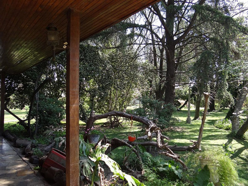 Venta Casa En 4 Lotes 9500m2 Bosques Fcio. Varela