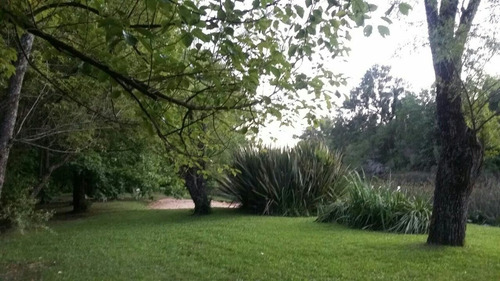 Imagen 13 de 14 de Cabañas Bocas Del Tigre Delta, Un Entorno Natural Único