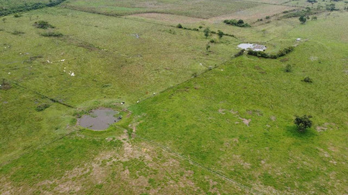 Imagen 3 de 14 de I.l Se Vende Finca En San Antonio De Caparo