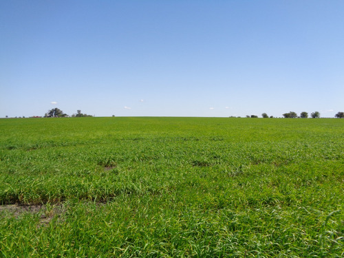 Campo Agrícola A Poca Distancia De Ruta Nacional 14 Camino Mejorado, A 240 Km De Buenos Aires, Apto Varios Destino