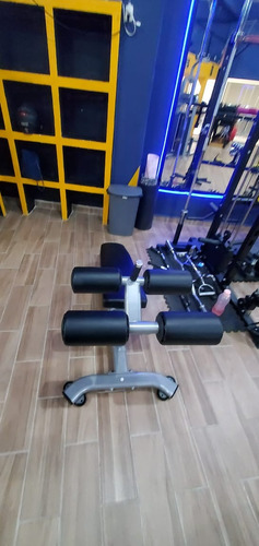 Banco Para Abdominales Premium Ovalado Gym / Gimnasio Msi