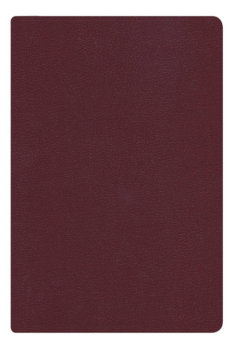 Libro: Rvr 1960 Biblia Letra Grande Tamaño Manual, Borgoña I