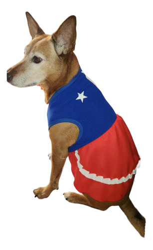 Traje Fiestas Patrias Para Mascotas - Vestidos Huasa Chilena