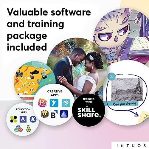 Tableta De Dibujo Con 3 Programas De Software Incluidos 7.9