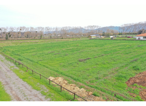 Venta Parcelas Nenquen, Santa Cruz.