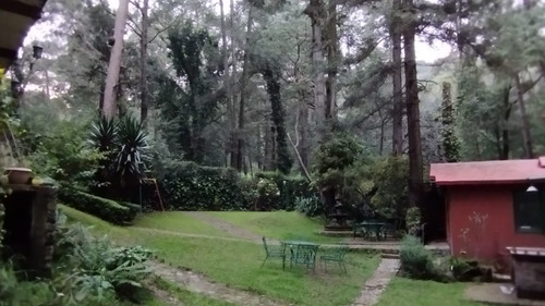 Imagen 9 de 19 de Departamento Tipo Cabaña En Medio Del Bosque Cerca De Santa Fe Pet Friendly Zona Ecolgica San Mateo Tlaltenango