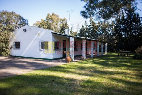 Imagen 1 de 25 de Cañuelas-casa Quinta En Venta