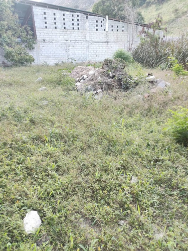 Imagen 28 de 28 de En Venta Galpón Y Terreno Ubicado En Ejido Sector Los Higuerones