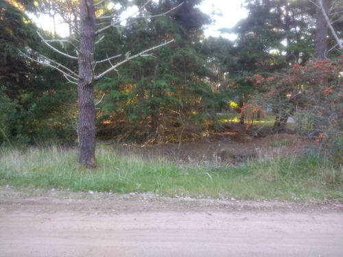 Imagen 4 de 6 de Gran Lote En Zona De Bosque, Hermoso Entorno!!!