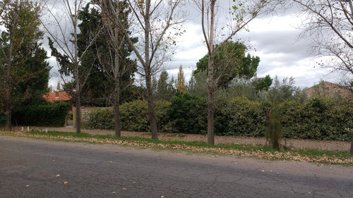 Imagen 6 de 21 de Casaquinta, Con Amplio Parque Y Terreno Cultivado, Galpones, A La Vera De Ruta Provincial 50.