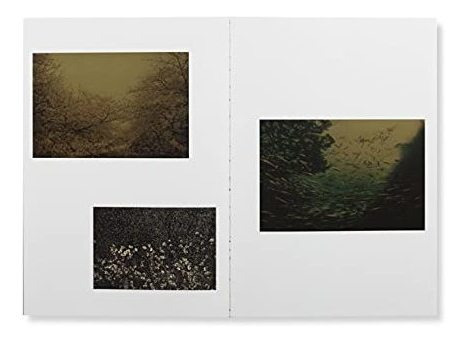 Book : Albarran Cabrera Remembering The Future (assorted) -