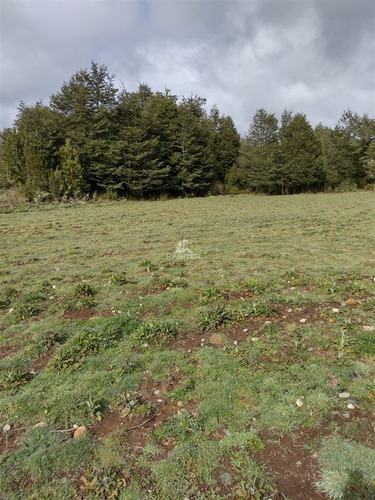 Imagen 25 de 30 de Agrícola En Venta En Ancud