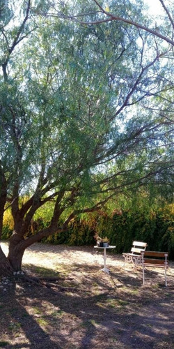 Imagen 27 de 30 de Casa Con Campo 7 Hectareas San Esteban Cordoba